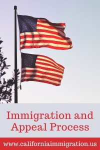 immigration appeals
